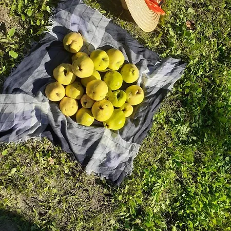 Quinta Da Peca Douro Wine Region Retreat, Private Pool Feriehus *