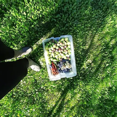 Quinta Da Peca Douro Wine Region Retreat, Private Pool *