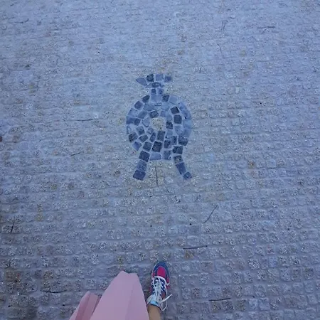 Feriehus Quinta Da Peca Douro Wine Region Retreat, Private Pool