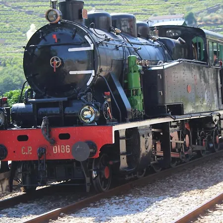 度假居 Quinta Da Peca Douro Wine Region Retreat, Private Pool 维拉·雷阿尔