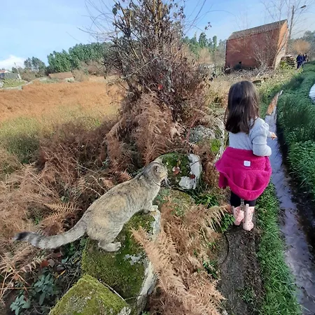 度假居 Quinta Da Peca Douro Wine Region Retreat, Private Pool *