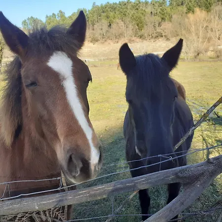 Quinta Da Peca Douro Wine Region Retreat, Private Pool 度假居 *