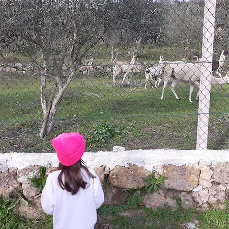 Quinta Da Peca Douro Wine Region Retreat, Private Pool 维拉·雷阿尔