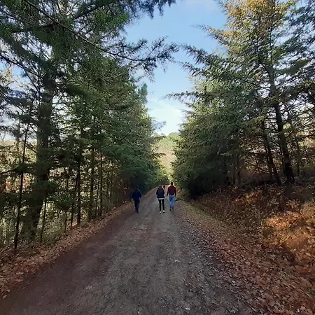 Quinta Da Peca Douro Wine Region Retreat, Private Pool Feriehus Vila Real