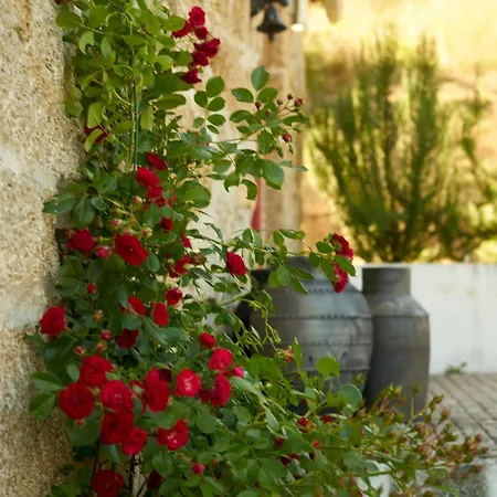 Quinta Da Peca Douro Wine Region Retreat, Private Pool 度假居 维拉·雷阿尔