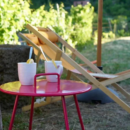 Quinta Da Peca Douro Wine Region Retreat, Private Pool *