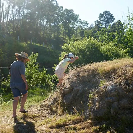 Quinta Da Peca Douro Wine Region Retreat, Private Pool