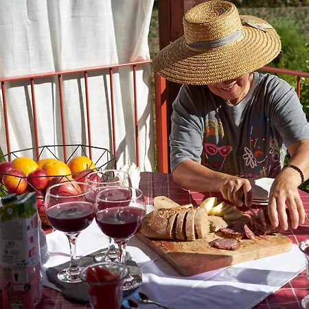 Quinta Da Peça Douro Vinhateiro Casa de Férias *