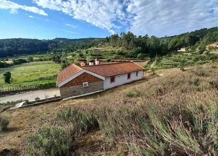 Feriehus Quinta Da Peca Douro Wine Region Retreat, Private Pool *