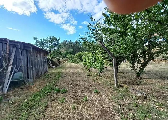 Quinta Da Peca Douro Wine Region Retreat, Private Pool