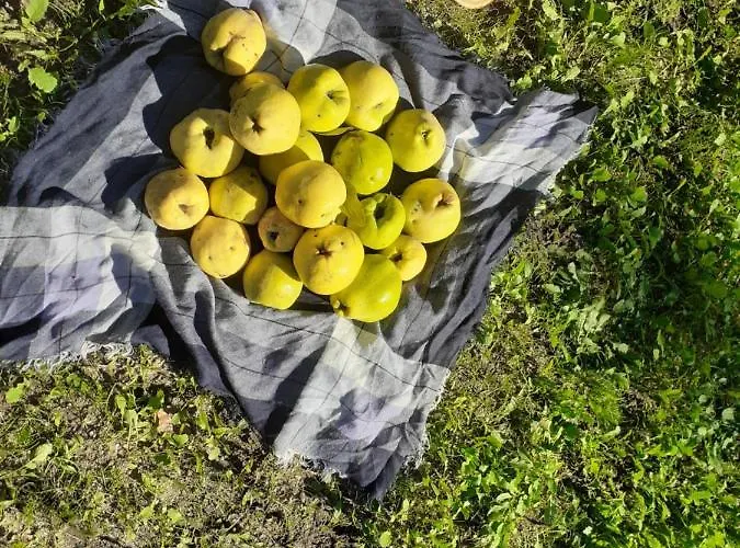 Quinta Da Peca Douro Wine Region Retreat, Private Pool Feriehus *