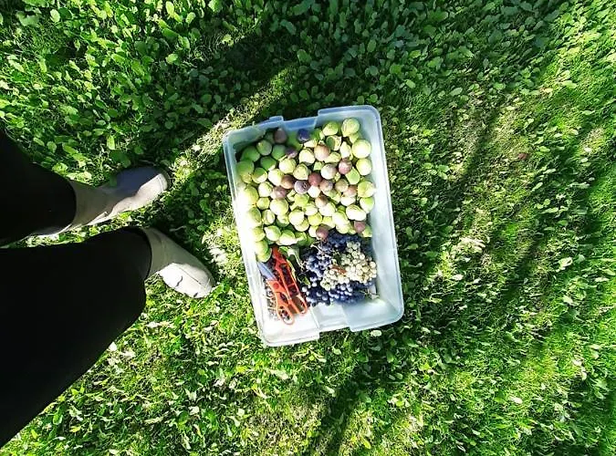 Quinta Da Peca Douro Wine Region Retreat, Private Pool *