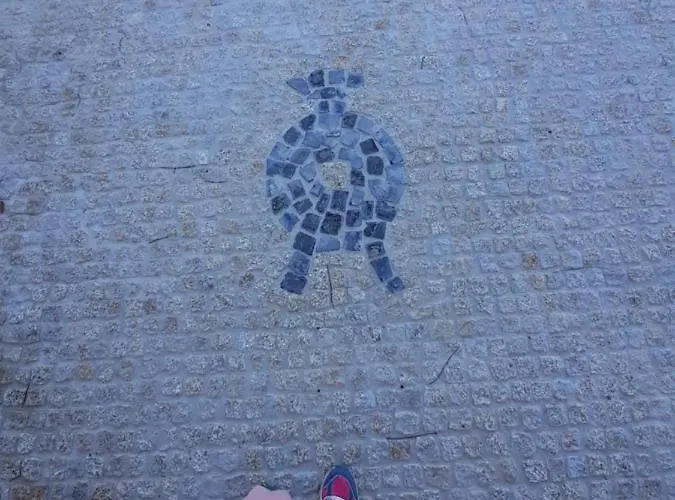 Feriehus Quinta Da Peca Douro Wine Region Retreat, Private Pool