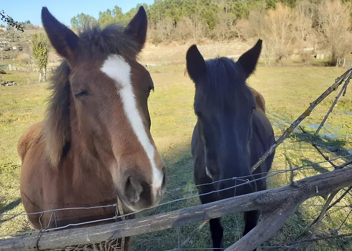 Quinta Da Peca Douro Wine Region Retreat, Private Pool Feriehus *