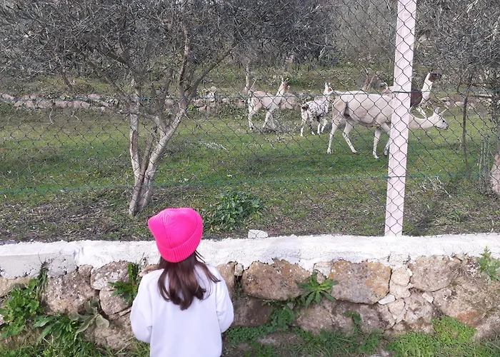 Quinta Da Peca Douro Wine Region Retreat, Private Pool Vila Real