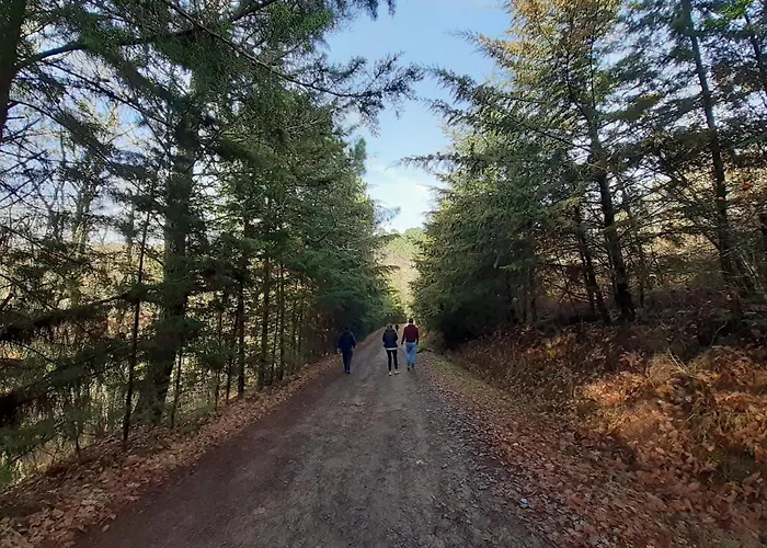 Quinta Da Peca Douro Wine Region Retreat, Private Pool Feriehus Vila Real
