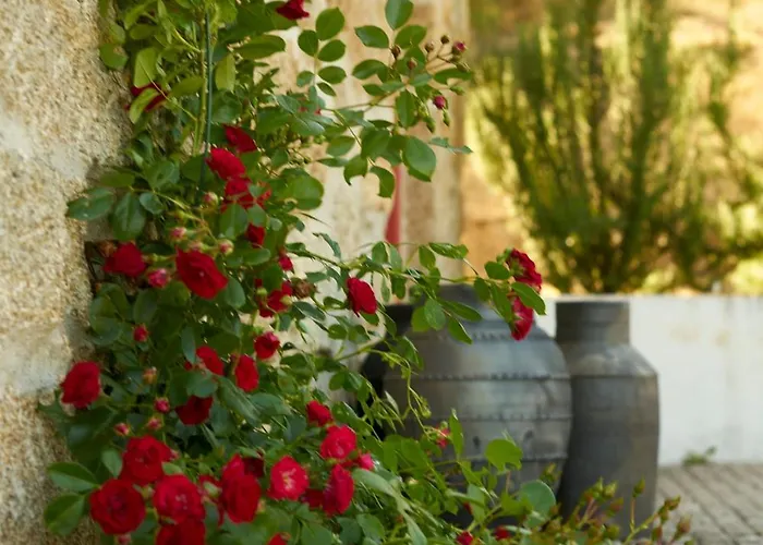 Quinta Da Peca Douro Wine Region Retreat, Private Pool Feriehus Vila Real