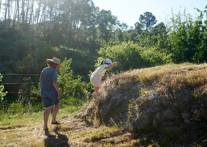 Quinta Da Peca Douro Wine Region Retreat, Private Pool